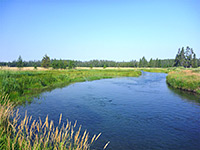 Calm waters of Boundary Creek