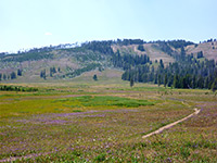Meadow east of Cascade Lake