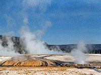 Banks of the Firehole River