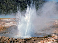 Boiling water from Cliff Geyser