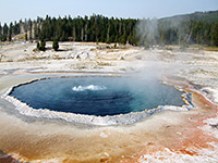 Steam above Crested Pool