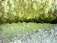 Sulphur crystals in a vent
