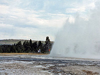 Eruption of Daisy Geyser