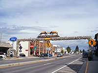 Elkhorn arch in Afton