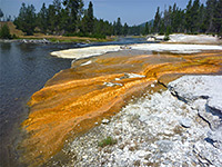 Algae beside the Firehole River