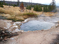 Pool in the Fissure Group