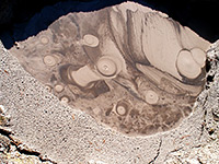 Patterns in a mud pot