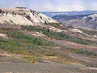 Fossil Butte National Monument