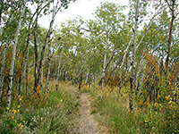 Fossil Lake Trail