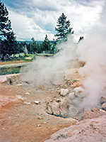 Steam vents