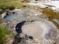 Brown and blue springs