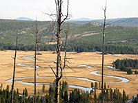 Gibbon River