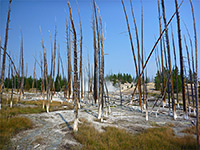 Steam from Dante's Inferno: Sylvan Springs, Yellowstone National Park,  Wyoming