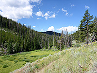 Meadow beside Glen Creek