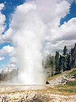 Grand Geyser