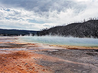 Steam above Grand Prismatic Spring