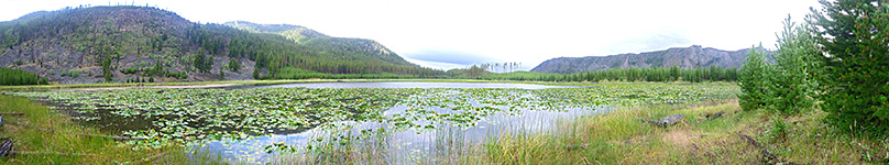 Harlequin Lake