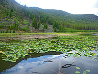 Harlequin Lake, Yellowstone National Park