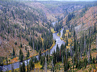 Lewis River Canyon