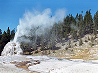 Lone Star Geyser - view westwards