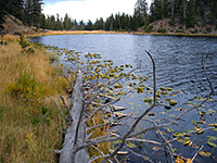 Lost Lake