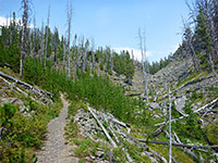 Trail up a ravine