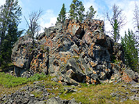 Lichen-covered rock