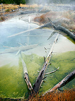 Logs in a pool