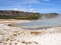 Mirror Pool