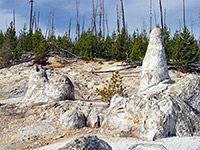 Geyser cones