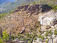 Rocks and burnt trees