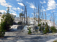 Mammoth Terraces