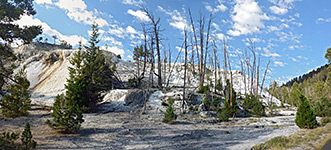 Yellowstone National Park