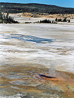 Geyser in Porcelain Basin