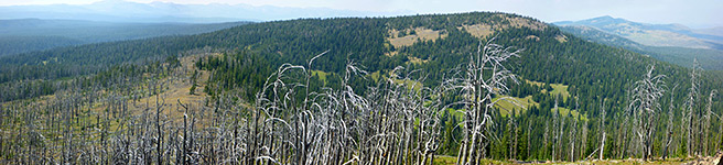 View west from Observation Peak