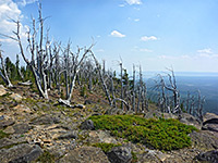 Summit of Observation Peak