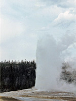 Cloudy day at Old Faithful Geyser