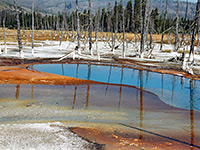 Opalescent Pool - close view