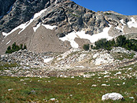 Alpine meadow