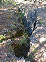 Above the fissure