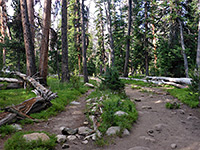Pole Creek Trail