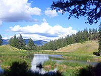 Beaver Ponds