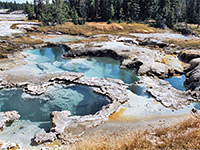 Hot springs in Potts Basin