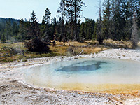 Pool in Potts Basin