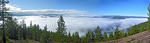 View from the summit of Purple Mountain