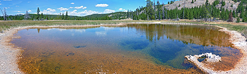 Big pool with brown algae