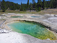 Three greenish pools