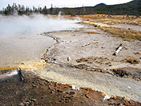 Red Terrace Spring - run off channel