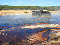 Old cabin by Red Terrace Spring