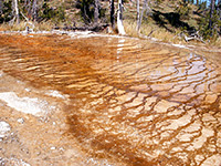 Red terraces